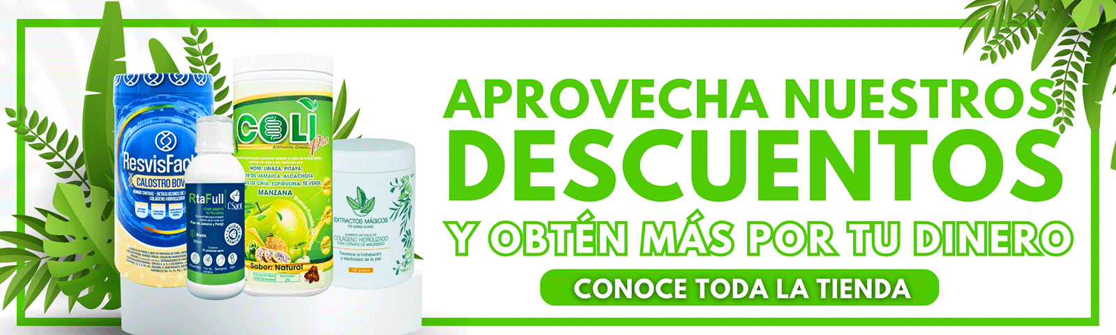 Bodega de Aleja – Home 53 Bodega de Aleja descuentos tienda